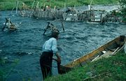 28 mies kalastaa.jpg