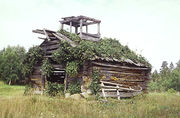 525 18 Lehtikerput.jpg