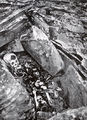 Thumbnail for version as of 08:28, 11 September 2014