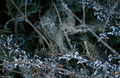 Thumbnail for version as of 08:29, 11 September 2014