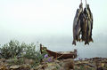 Thumbnail for version as of 08:26, 11 September 2014