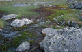 Thumbnail for version as of 08:26, 11 September 2014