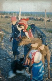 86korvamerkki.jpg