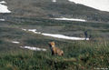 Thumbnail for version as of 08:28, 11 September 2014