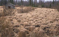 Thumbnail for version as of 08:29, 11 September 2014