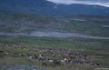 Thumbnail for version as of 08:28, 11 September 2014