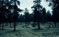 Thumbnail for version as of 08:26, 11 September 2014