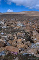 Thumbnail for version as of 08:27, 11 September 2014