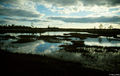 Thumbnail for version as of 08:28, 11 September 2014