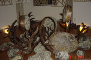 Dsc00674.jpg
