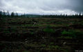 Thumbnail for version as of 08:26, 11 September 2014