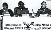 Gonsales-Escobar-Baer2.jpg