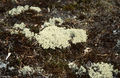 Thumbnail for version as of 08:27, 11 September 2014