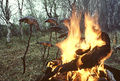 Thumbnail for version as of 08:28, 11 September 2014