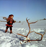 JSY 435 Suopunginheittoa.jpg