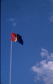94saamenlippu.jpg