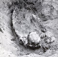 Thumbnail for version as of 08:27, 11 September 2014