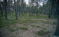 Thumbnail for version as of 08:26, 11 September 2014