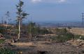 Thumbnail for version as of 08:26, 11 September 2014