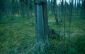 Thumbnail for version as of 08:26, 11 September 2014