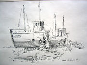 Fiske02.jpg