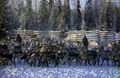 Thumbnail for version as of 08:28, 11 September 2014